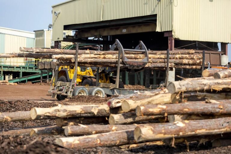 Rayonier to Acquire PotlatchDeltic in $7 Billion All-Stock Timberland Merger